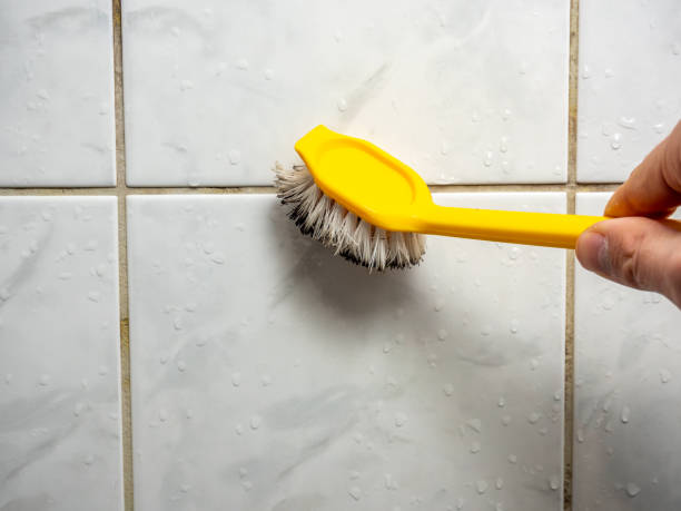 Best Attic Mold Removal  in Lihue, HI