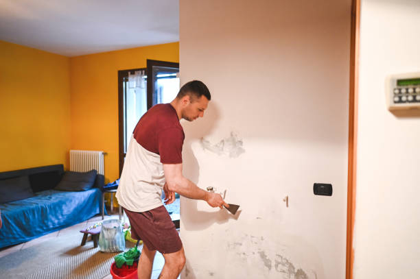 Best Mold Testing and Removal  in Lihue, HI